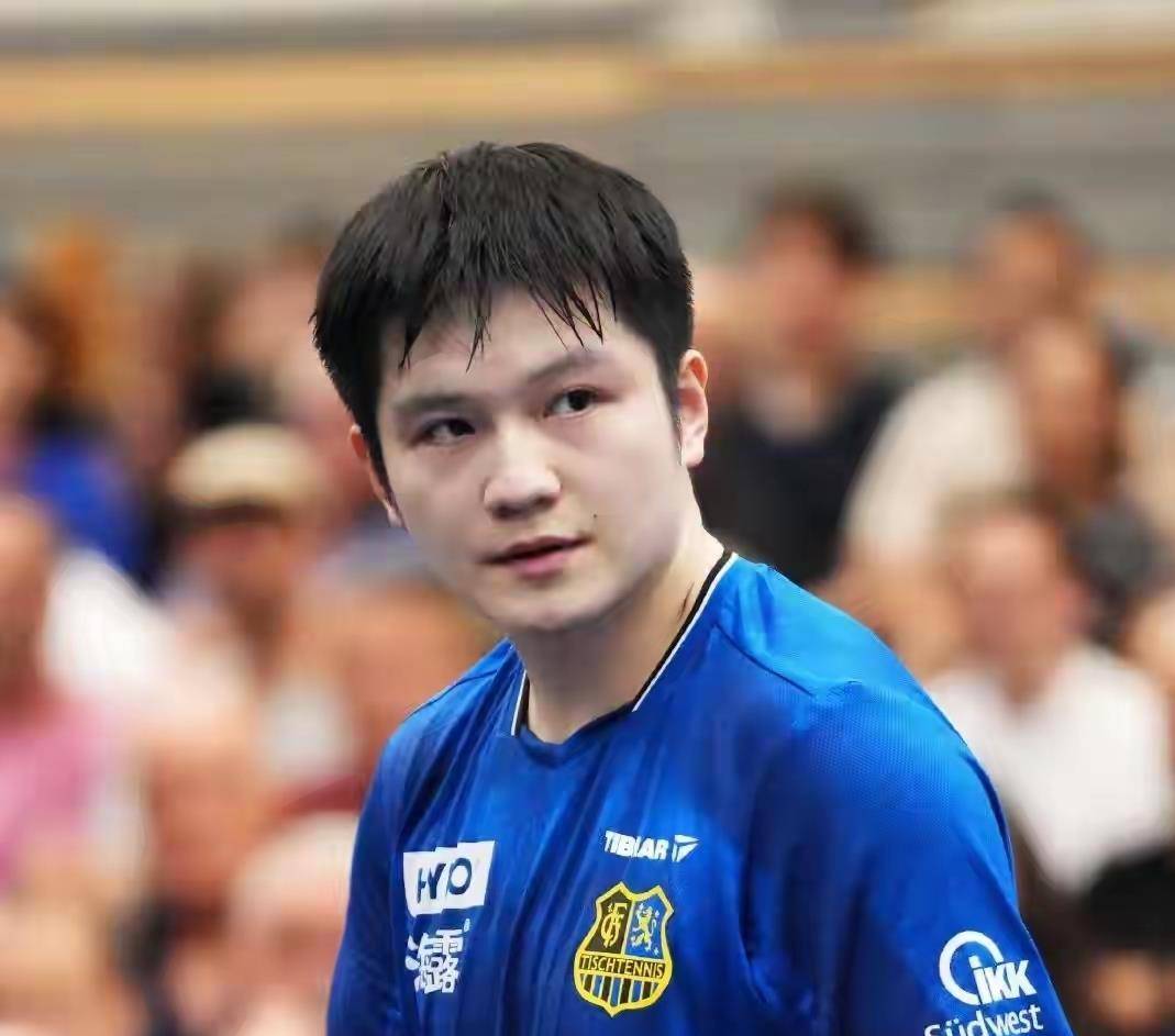 樊振东德甲首赢！队长陪练到流汗，每分都拼得稳当